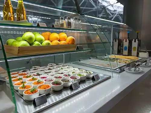 Business Lounge (Inl & Dom)_Moscow Vnukovo_Russia
