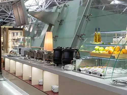 Business Lounge (Inl & Dom)_Moscow Vnukovo_Russia