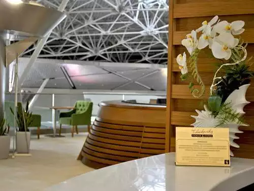 Tchaikovskiy Lounge By UTG Aviation Services, Moscow Vnukovo International